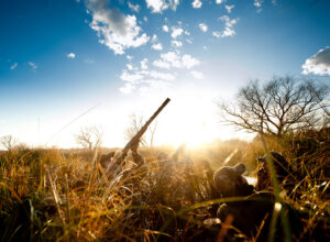 IM 2011 050 1177